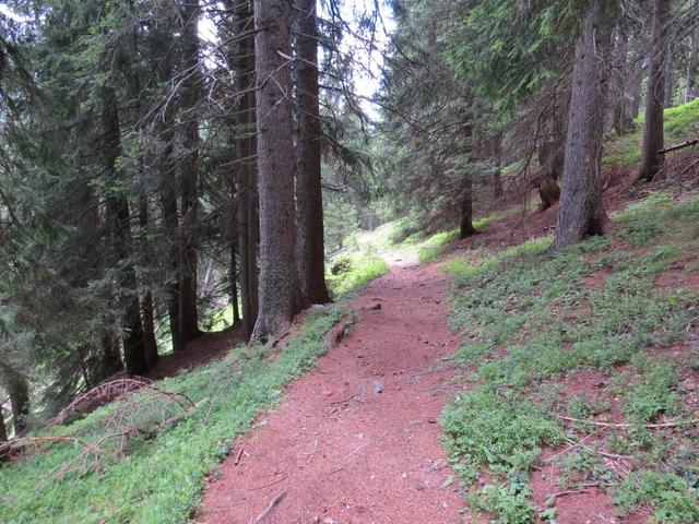 der neu angelegte Weg führte uns durch einen schönen Wald und eine kleine Schlucht