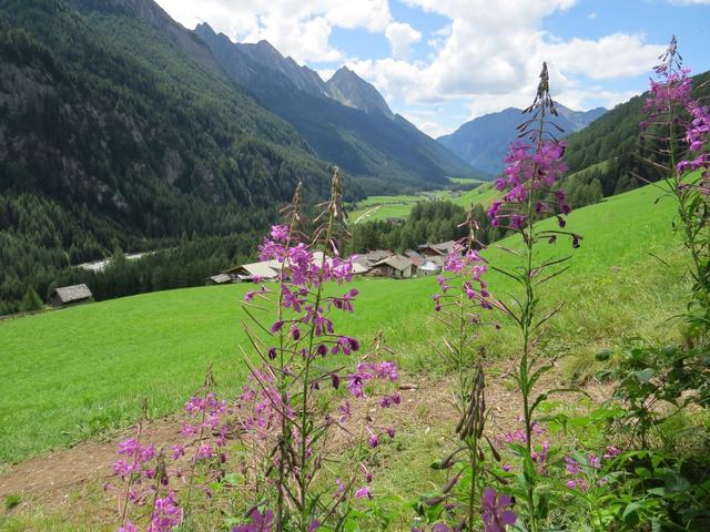 über das Windtal und Arwände erreichten wir das kleine Dorf Stein im Pfitschtal