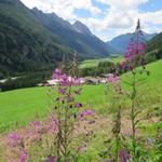 über das Windtal und Arwände erreichten wir das kleine Dorf Stein im Pfitschtal