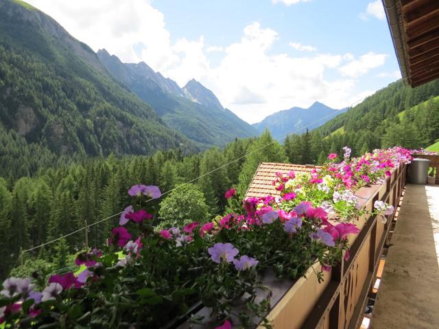 Blick vom Balkon aus in das Pfitschtal