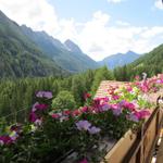 Blick vom Balkon aus in das Pfitschtal