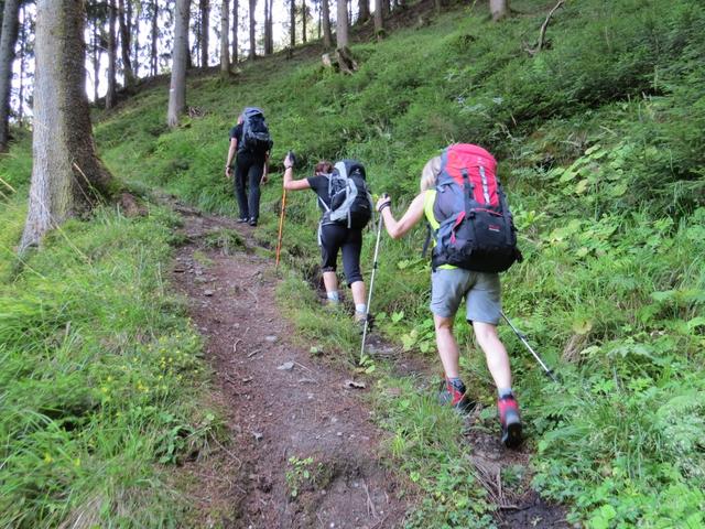 kurz nach Niedervintl geht es in den Wald