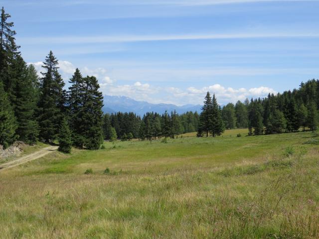 der Wald verschwindet und die Aussicht wird grandios