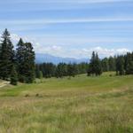 der Wald verschwindet und die Aussicht wird grandios