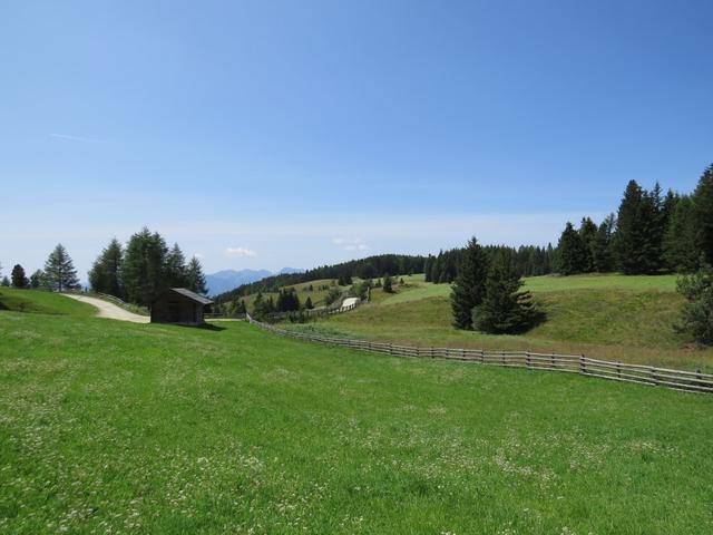 wir haben die Alpweiden der Lüsener Alm erreicht