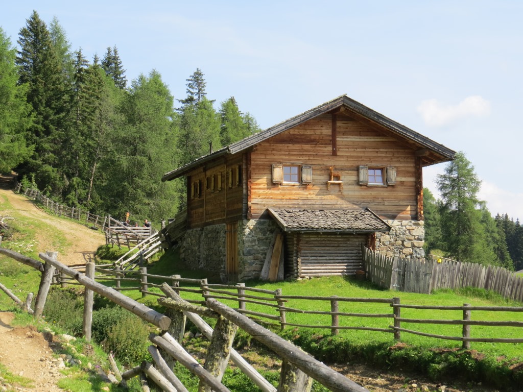 der Weg führt an den Hütten der Steiner Alm vorbei