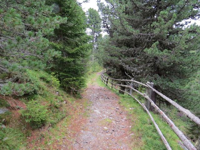 auf dem Weg zum Lüsner Joch