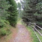 auf dem Weg zum Lüsner Joch