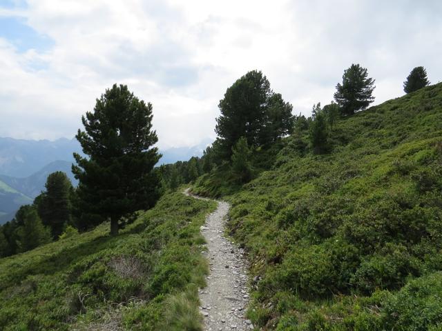 kurz vor der Maurerberghütte