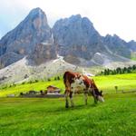 wir haben die Dolomiten erreicht