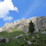 das Gebiet der Dolomiten geniesst seit 2009 den Status eines UNESCO Weltnaturerbes