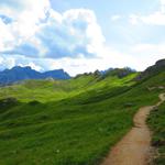 am Fusse des Zendleser Kofel geht es über einen schönen Höhenweg weiter zum Kreuzkofeljoch