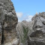 zwischen zwei Felsen konnten wir die Roa-Scharte anschauen
