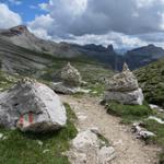 wir haben die Wiesenböden der Puezalm erreicht