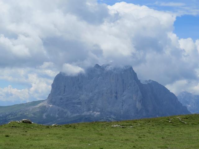 der Langkofel