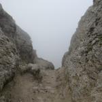 trotz dichtem Nebel wollten wir nicht länger in der Puez Hütte bleiben. Wir haben die Forcella de Ciampei 2366 m.ü.M. erreich