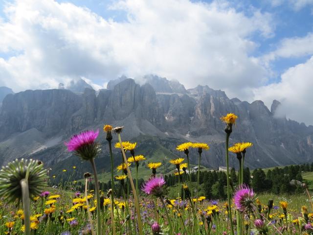 Blick zur Sella Gruppe