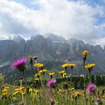 Blick zur Sella Gruppe