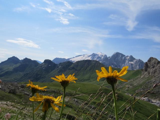 Blick auf die Marmolada, die Königin der Dolomiten