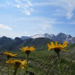 Blick auf die Marmolada, die Königin der Dolomiten