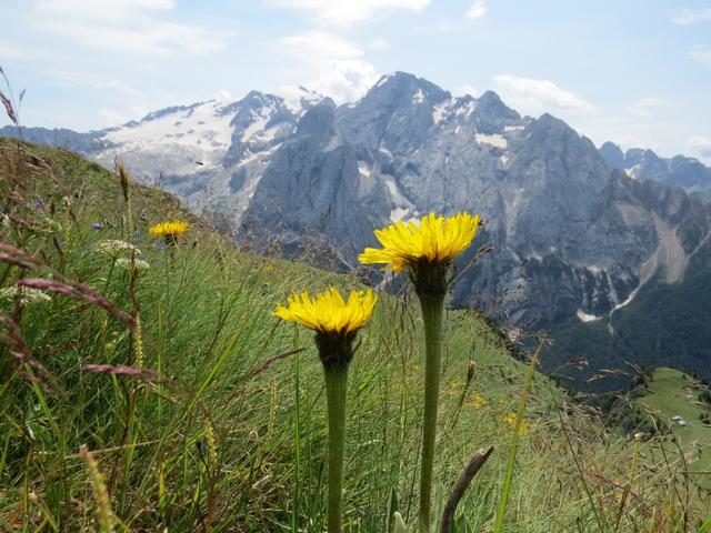 die Marmolada, Ihre Majestät - höchster Gipfel und Königin der Dolomiten rückt näher