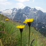die Marmolada, Ihre Majestät - höchster Gipfel und Königin der Dolomiten rückt näher