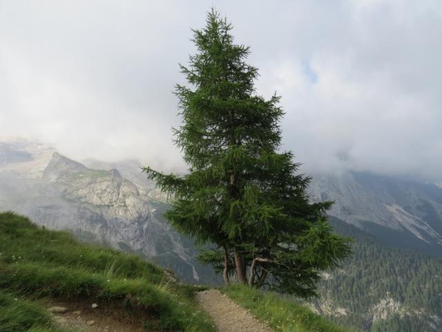 auf dem Weg zum Fedaiasee