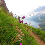 über einen schönen Bergpfad geht es gemütlich abwärts Richtung Fedaiasee