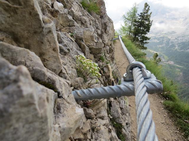 an gewissen Orten ist der Weg mit Stahlseilen gesichert