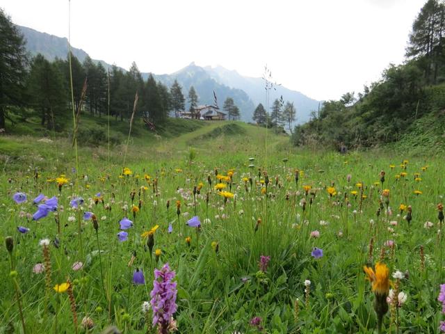 beim Passo Fedaia 2056 m.ü.M.