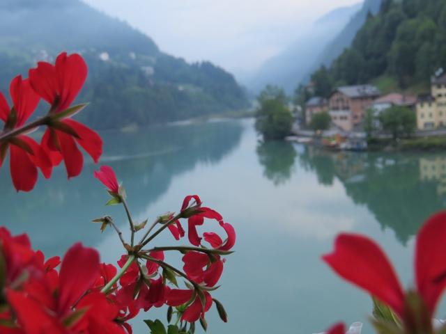 Blick vom Hotelzimmer zum Alleghesee