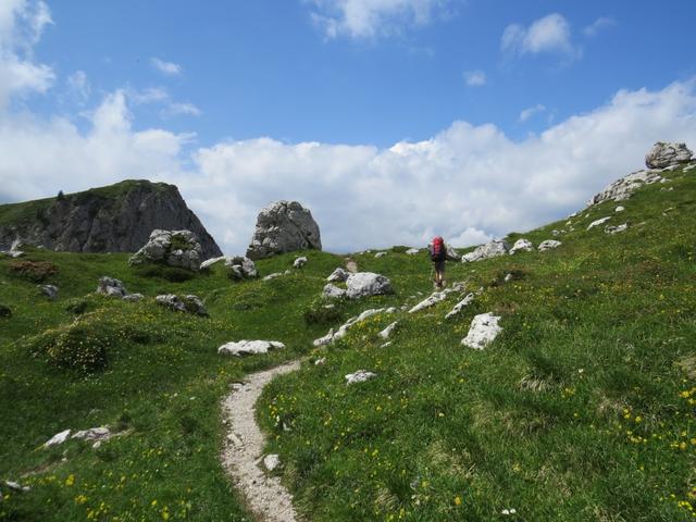 weiterhin über einen schönen Wanderweg geht es weiter zum Rifugio Tissi