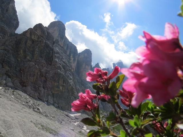 Blick zur Civetta Westwand