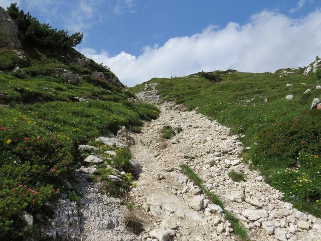 kurz nach der Weggabelung 2198 m.ü.M. wird der Weg steil. Es geht zum Rifugio Tissi hinauf