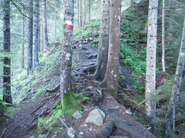 nachdem wir die Strasse velassen haben, steigt der Weg steil an