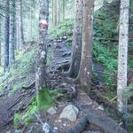 nachdem wir die Strasse velassen haben, steigt der Weg steil an