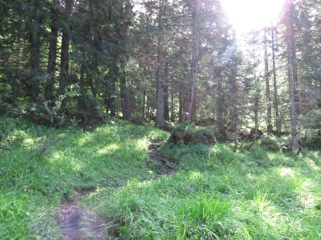 bei der Forcella Dagarei 1620 m.ü.M.