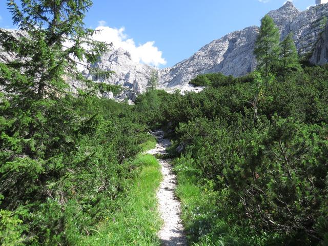 auf dem Weg zur Forcella del Moschesin