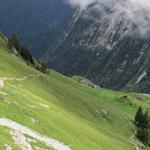 der Weg führt nun endlos steil abwärts Richtung Rifugio Pian de Fontana 