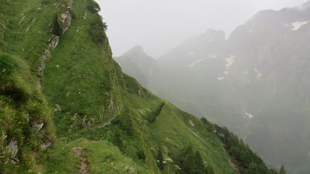 über ein schmaler Weg durchqueren wir das grüne Band der extrem steilen Südflanke des Cime de la Scala