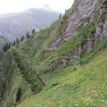 Blick zurück zum ausgesetzem Weg. Ein Fehltritt wäre hier fatal, rund 500 m stürzt der Blick ins Valle Scalon