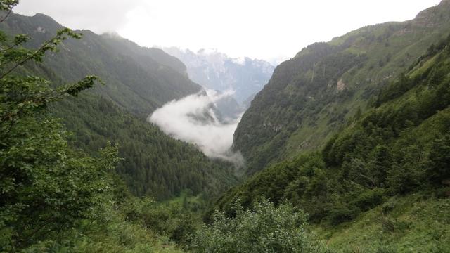 das Val Vescova. 1400 Höhenmeter geht es nun abwärts ins Agordo Tal