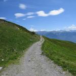 auf einer breiten Alpstrasse geht es Richtung Alp Lüsch