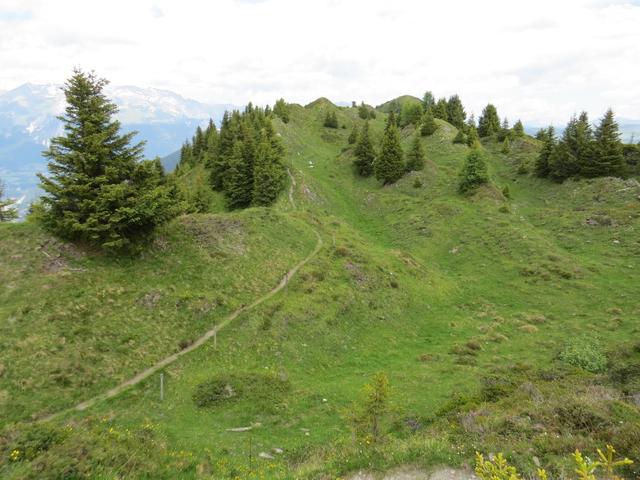 bei Punkt 2086 m.ü.M. mit Blick Richtung Präzer Höhi