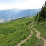 auf dem Weg zur Präzer Alp