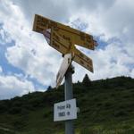 Wegweiser bei der Präzer Alp 1883 m.ü.M.