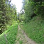 auf dem Weg nach Prau da l'Alp