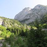 über diese Steilstufe führt uns der Wanderweg zum Walopsee