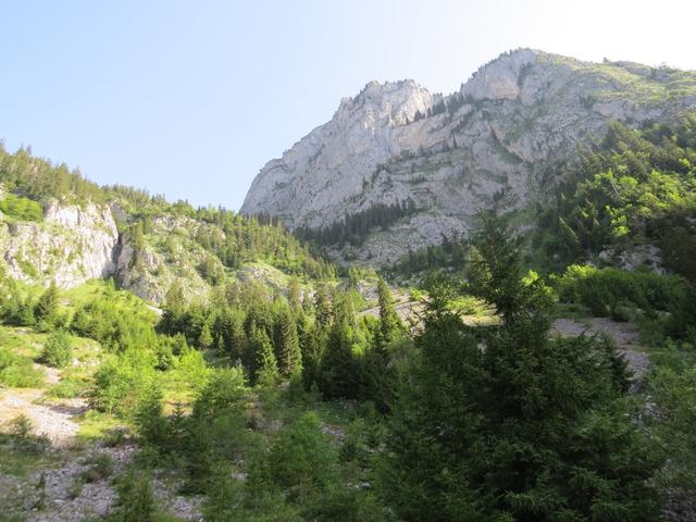 über diese Steilstufe führt uns der Wanderweg zum Walopsee