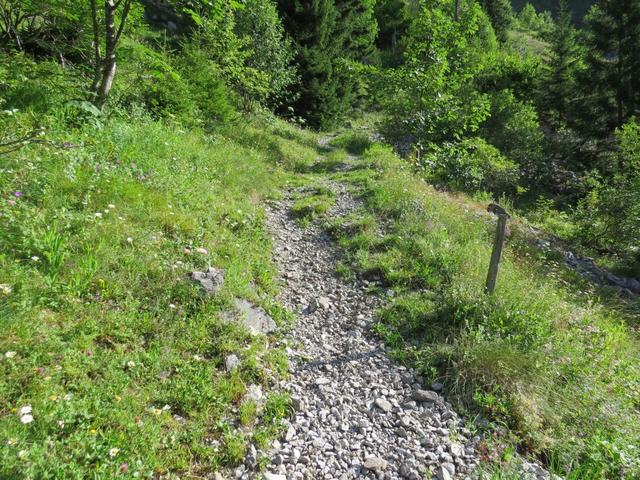 ein breiter und einfacher Wanderweg führt aufwärts